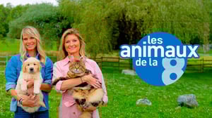 Les animaux de la 8